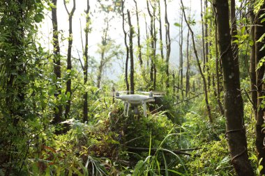 Beyaz dron tropikal ormanda uçan kamera ile