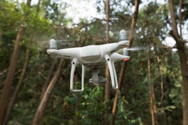 Beyaz dron tropikal ormanda uçan kamera ile