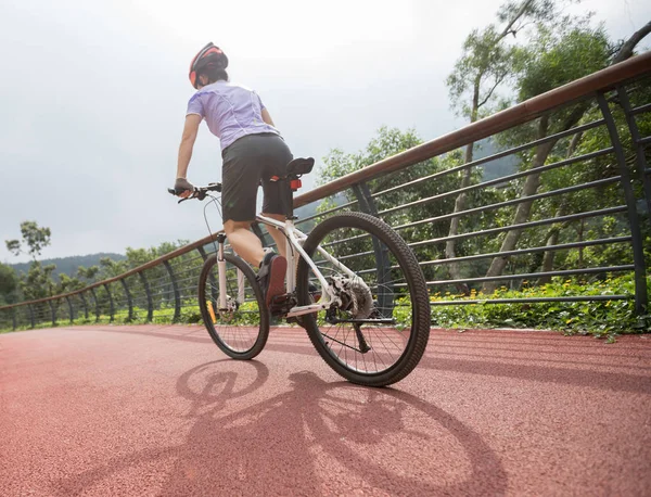 Ciclista Mujer Montar Bicicleta Montaña Sendero Del Bosque — Foto de Stock