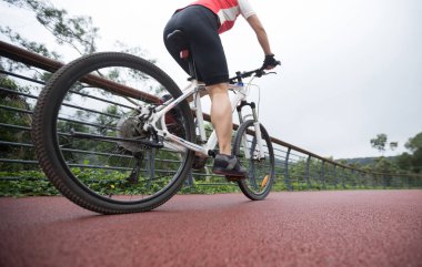 Orman yolunda dağ bisikleti süren bir kadın.