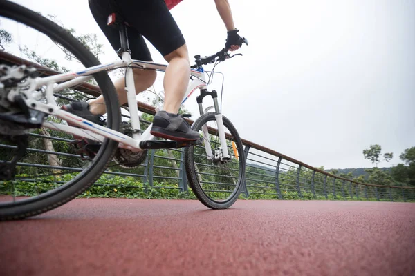 Ciclista Mujer Montar Bicicleta Montaña Sendero Del Bosque —  Fotos de Stock