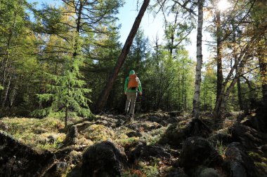 Gündoğumunda sonbahar ormanında yürüyüş yapan bir kadın. 