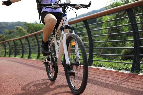 Woman Cyclist Riding Mountain Bike Forest Trail — Stock Photo, Image