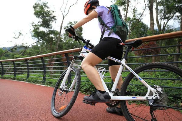 Kerékpáros Lovaglás Mountain Bike Forest Trail — Stock Fotó