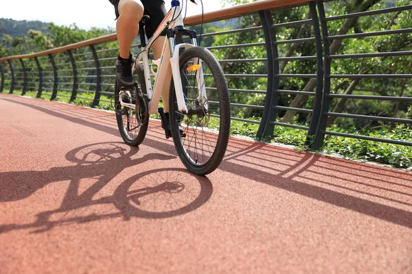 Woman Cyclist Riding Mountain Bike Forest Trail — Stock Photo, Image