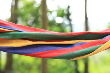 Yeşil ormanda renkli hamakta dinlenmek