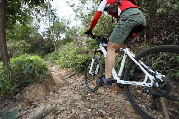 Woman Cyclist Riding Bike Nature Trail Mountains People Living Healthy — Stock Photo, Image