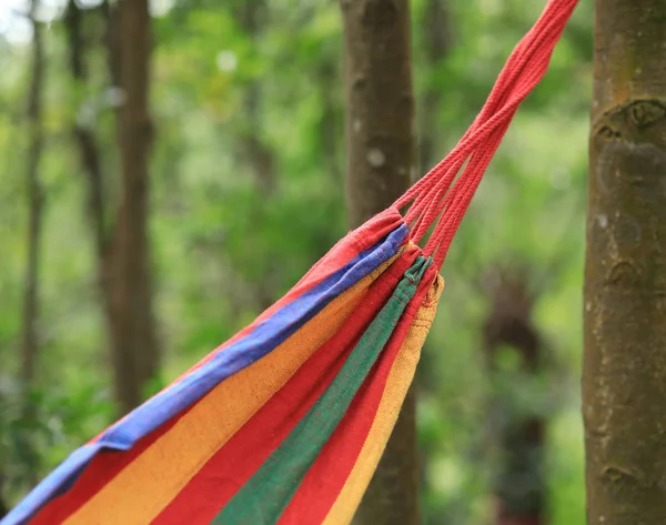 Rilassante Amaca Colorata Nella Foresta Verde — Foto Stock