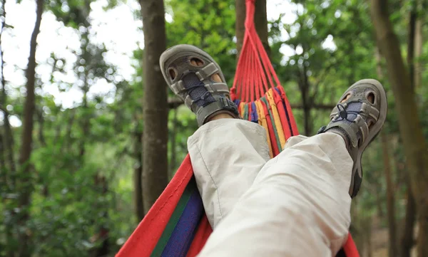 Persona Relajante Hamaca Bosque Verano — Foto de Stock