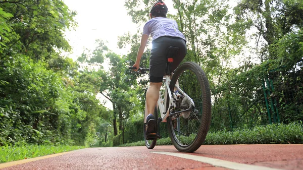 Yaz Aylarında Güneşli Park Yolunda Bisiklete Binen Kadın Bisikletçi — Stok fotoğraf