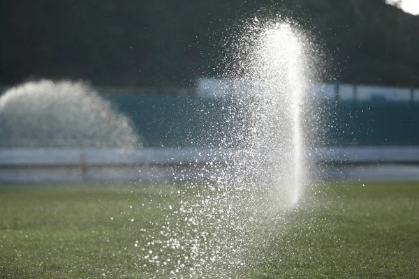 Water Gazon Het Sunrise Stadium — Stockfoto