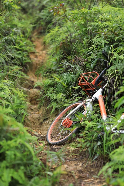 Abandoned shared bike on green mountain