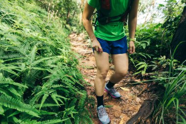 Yaz tropikal ormanda deri üzerinde böcek kovucupüskürtme Kadın iz koşucu