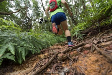 Tropikal orman yolunda koşan ultra maraton koşucusu kadın.