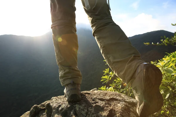 Succes Wandelaar Wandelen Bij Sunrise Summer Mountain Top Cliff Edge — Stockfoto