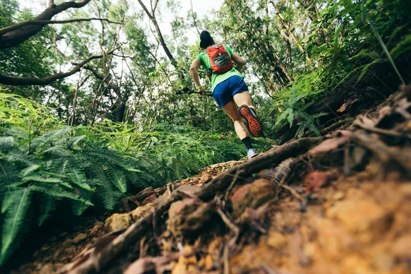 Ultramarathonläufer Läuft Auf Tropenwaldpfad — Stockfoto