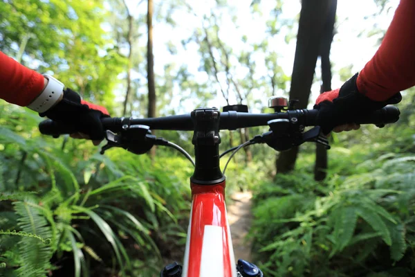 Montar Bicicleta Montaña Sendero Del Bosque Tropical Verano — Foto de Stock