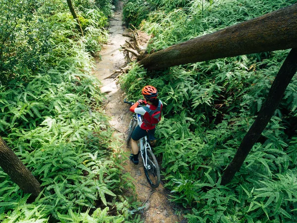 Bicicleta Fondo Ciclista Mujer Establecer Smartwatch Sendero Bosque Tropical — Foto de Stock