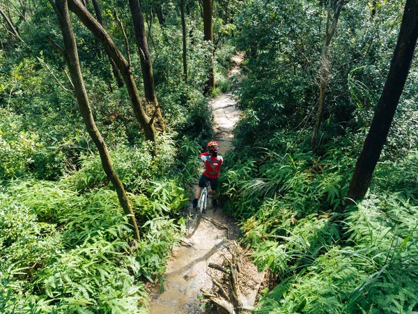 Kros Bisikletli Kadın Bisikletçi Akıllı Seti Tropikal Orman Patikasına Kurdu — Stok fotoğraf