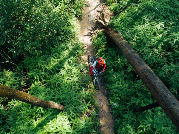 Kobieta Rowerzysta Górskiej Wędrówki Tropikalnym Lesie — Zdjęcie stockowe