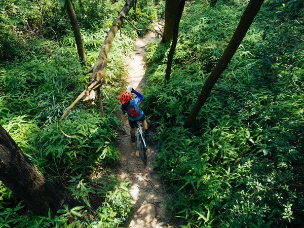 Cross Country Biking Woman Cyclist Drinking Water Tropical Forest Trail — Stock Photo, Image