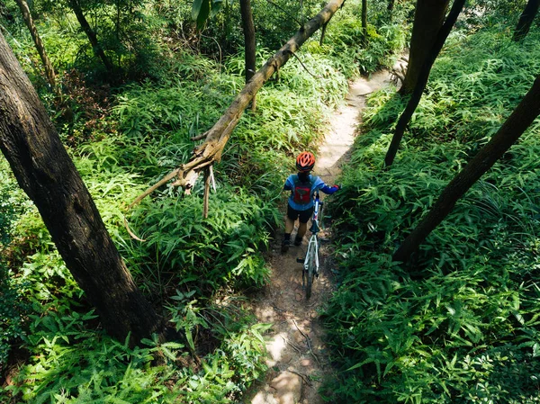 Cross Country Ciclista Mulher Ciclista Com Montanha Trilha Floresta Tropical — Fotografia de Stock