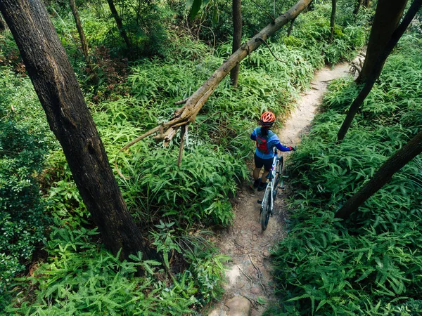 Cross Country Biking Woman Cyclist Mountain Tropical Forest Trail — Stock Photo, Image