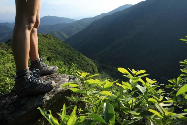 成功的徒步旅行者享受夏季山峰的景色 — 图库照片