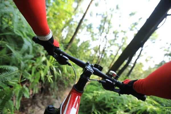 Woman Riding Mountain Bike Summer Tropical Forest Trail — Stock Photo, Image