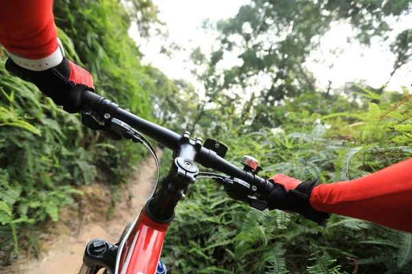 Kros Bisikleti Bisikletçi Tropikal Orman Patikadan Dağ Bisikleti Sürme — Stok fotoğraf
