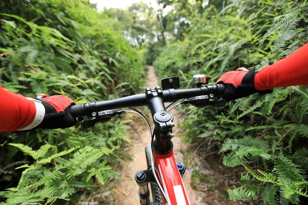 Cross Country Biking Cyclist Riding Mountain Bike Tropical Forest Trail — Stock Photo, Image