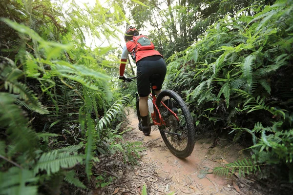 Крос Кантрі Велогонка Велогонка Верхи Гірському Велосипеді Тропічній Лісовій Стежці — стокове фото