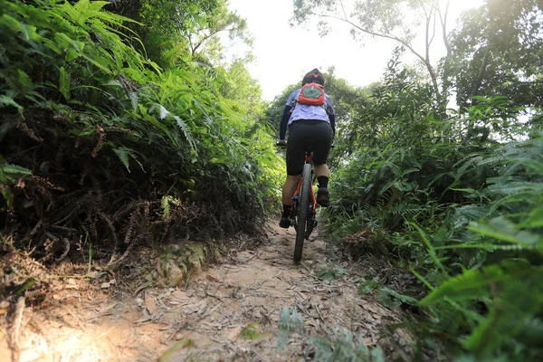 Cross Country Biking Woman Cyclist Riding Mountain Bike Tropical Forest — Stock Photo, Image