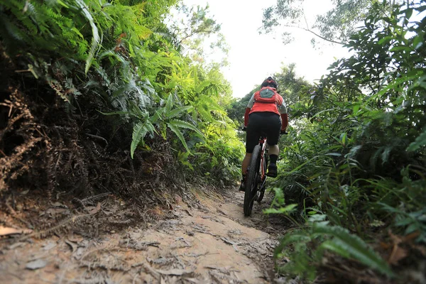 Vélo Fond Femme Cycliste Équitation Vtt Sur Sentier Forêt Tropicale — Photo