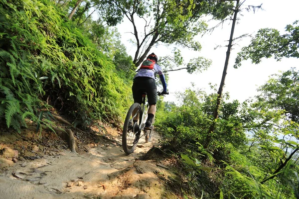 Bicicleta Cross Country Mujer Ciclista Montando Bicicleta Montaña Sendero Bosque —  Fotos de Stock