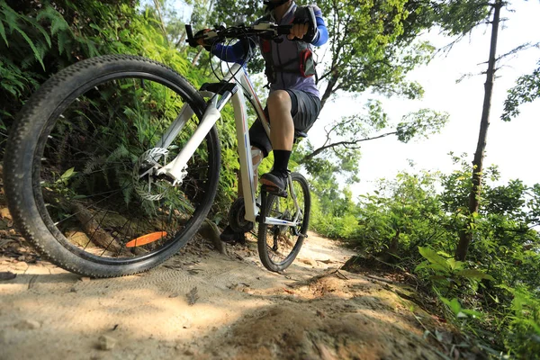 Cross Country Ciclista Mulher Ciclista Andar Bicicleta Montanha Trilha Floresta — Fotografia de Stock