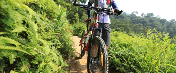 Bicicleta Fondo Ciclista Mujer Con Bicicleta Montaña Sendero Bosque Tropical —  Fotos de Stock