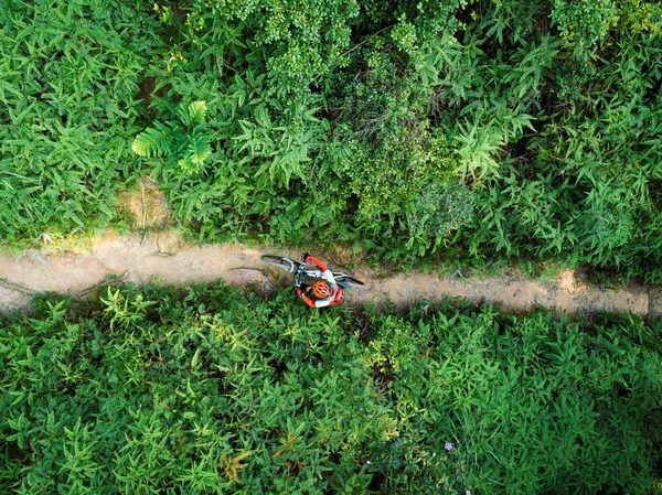 Cross Country Biking Vrouw Fietser Uitvoering Mountainbike Wandelen Tropisch Bos — Stockfoto