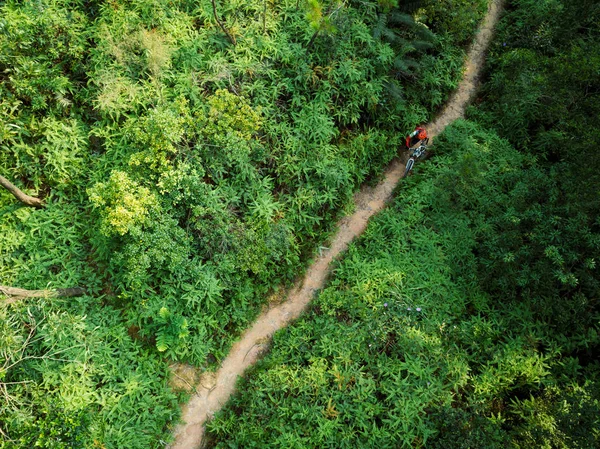 Cross Country Bisiklet Kadın Bisikletçi Dağ Bisikleti Taşıyan Tropikal Orman — Stok fotoğraf