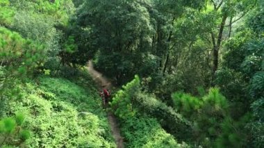 Tropikal orman izi üzerinde dağ bisikleti ile Cross country bisiklet kadın bisikletçi