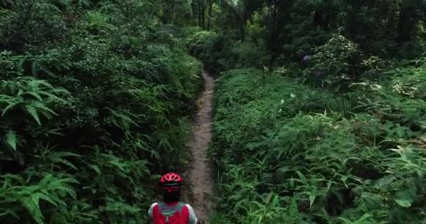 クロスカントリーバイク女性サイクリストは 熱帯林の歩道にマウンテンバイクに乗る — ストック動画