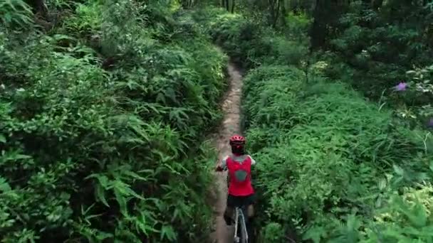 Crossradfahrerin Fährt Mountainbike Auf Tropischem Waldweg — Stockvideo