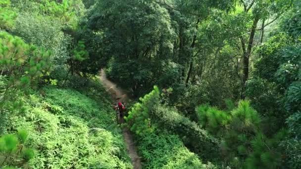 熱帯林トレイルでマウンテンバイクを持つクロスカントリーバイク女性サイクリスト — ストック動画