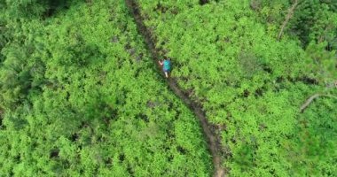 tropikal orman yolda sırt çantası yürüyüş ile sporcu