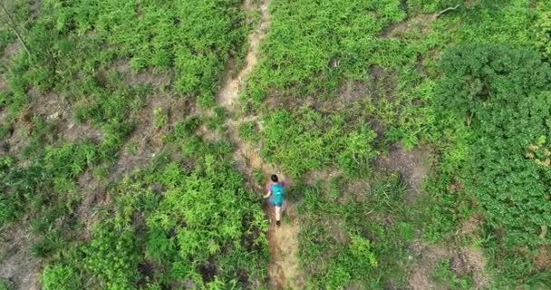 Sportiva Con Zaino Trekking Sul Sentiero Della Foresta Tropicale — Video Stock