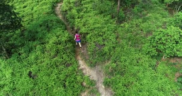 Ultra Marathon Runner Running Tropical Forest Trail — Stock Video