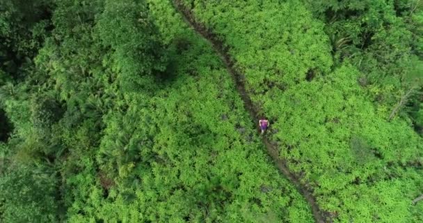 Corredor Maratón Ultra Corriendo Sendero Bosque Tropical — Vídeo de stock