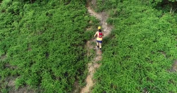 Ultra Marathon Runner Running Tropical Forest Trail — Stock Video