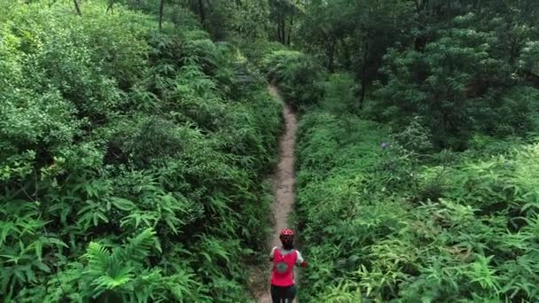 クロスカントリーバイク女性サイクリストは 熱帯林の歩道にマウンテンバイクに乗る — ストック動画