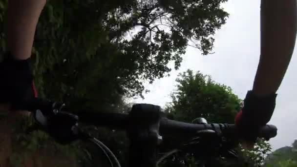 Cross Χώρα Ποδηλασία Ποδηλάτης Ιππασία Ποδήλατο Βουνού Μονοπάτια Τροπικό Δάσος — Αρχείο Βίντεο